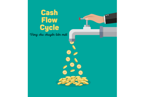 Vòng chu chuyển tiền mặt (Cash Flow Cycle) của doanh nghiệp là gì?