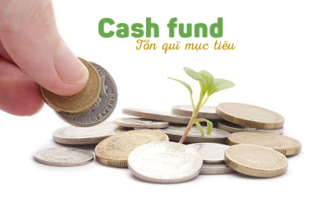 Tồn quĩ mục tiêu (Cash fund) là gì? Các mô hình xác định