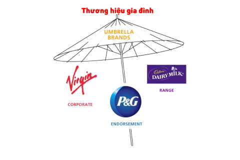 Thương hiệu gia đình (Family brand) là gì? Ưu và nhược điểm