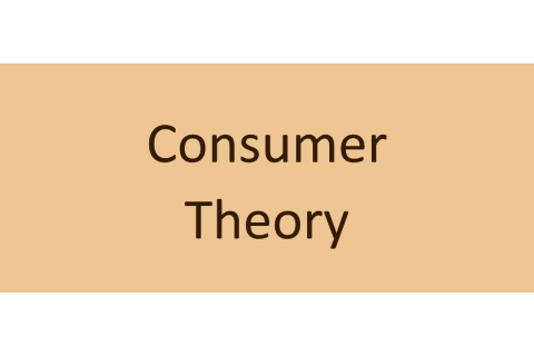 Lí thuyết người tiêu dùng (Consumer Theory) là gì? Các hạn chế của lí thuyết người tiêu dùng