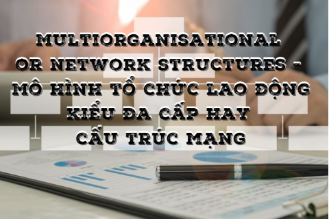 Mô hình tổ chức lao động kiểu đa cấp hay cấu trúc mạng là gì?