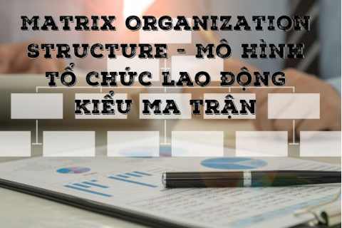 Mô hình tổ chức lao động kiểu ma trận (Matrix Organization Structure) là gì?