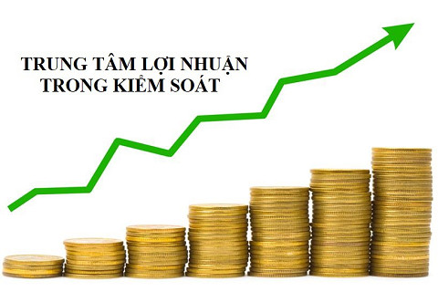 Trung tâm lợi nhuận (Profit Center) trong kiểm soát là gì?