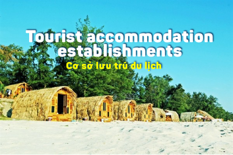 Cơ sở lưu trú du lịch (Tourist accommodation establishments) là gì? Nhãn Bông sen xanh