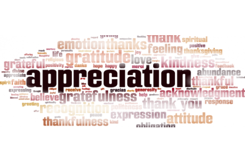 Lên giá (Appreciation) là gì? Cách thức hoạt động của sự lên giá