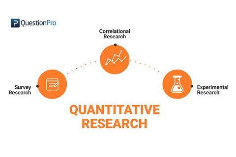 Nghiên cứu định lượng (Quantitative research) là gì?