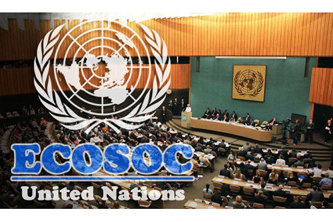 Hội đồng Kinh tế và Xã hội Liên Hợp Quốc (ECOSOC) là gì? Các nội dung liên quan