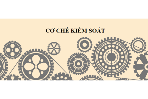 Cơ chế kiểm soát (Control Mechanism) là gì? Kĩ năng thiết lập cơ chế kiểm soát