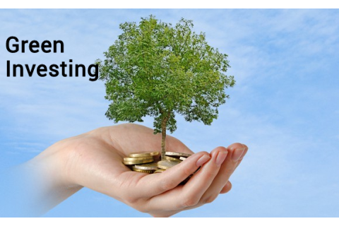 Đầu tư xanh (Green Investing) là gì? Phân loại đầu tư xanh