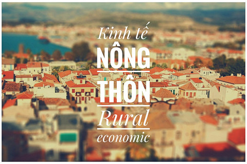 Kinh tế nông thôn (Rural Economic) là gì?