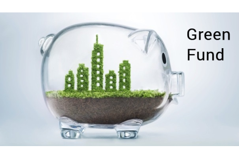 Quĩ đầu tư xanh (Green Fund) là gì? Các lĩnh vực đầu tư của quĩ đầu tư xanh