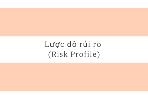 Lược đồ rủi ro (Risk Profile) là gì? Đặc trưng, ý nghĩa của lược đồ rủi ro