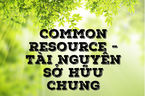 Tài nguyên sở hữu chung (Common Resource) là gì?