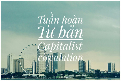 Tuần hoàn của tư bản (Capitalist Circulation) là gì?