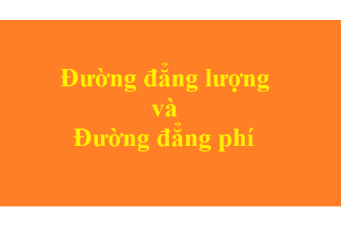 Đường đẳng lượng (Isoquant curve) là gì? Đường đẳng phí (Isocost line) là gì?