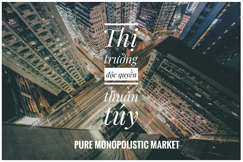 Thị trường độc quyền thuần túy (Pure Monopolistic Market) là gì? Đặc điểm và nguyên nhân