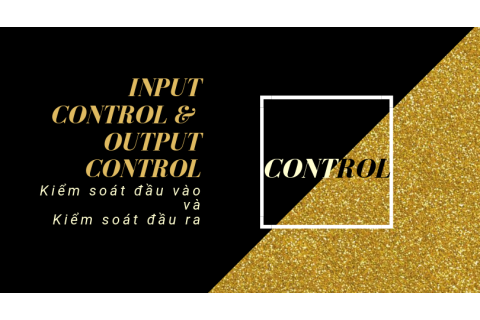 Kiểm soát đầu vào (Input Control) và kiểm soát đầu ra (Output control) là gì?