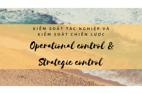 Kiểm soát tác nghiệp (Operational control) và kiểm soát chiến lược (Strategic control) là gì?