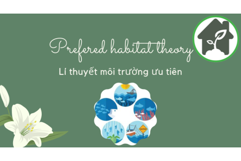 Lí thuyết môi trường ưu tiên (Prefered habitat theory) là gì?