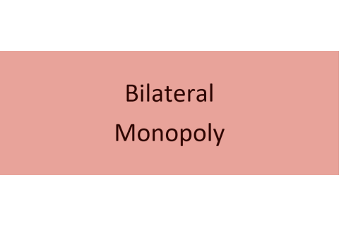 Độc quyền song phương (Bilateral Monopoly) là gì? Bất lợi của độc quyền song phương