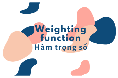 Hàm trọng số (Weighting function) trong tài chính hành vi là gì? Biểu diễn hàm trọng số điển hình