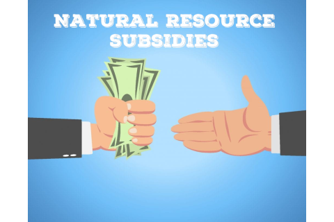 Trợ cấp tài nguyên thiên nhiên (Natural Resource Subsidies) là gì?