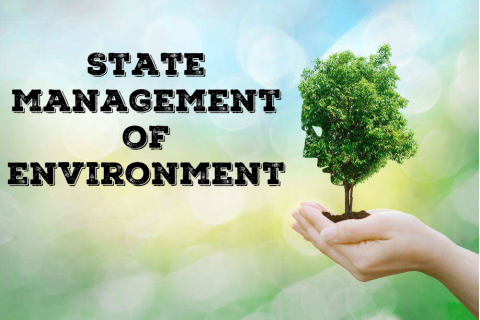 Quản lí Nhà nước về môi trường (State management of environment) là gì? Nội dung và các nguyên tắc