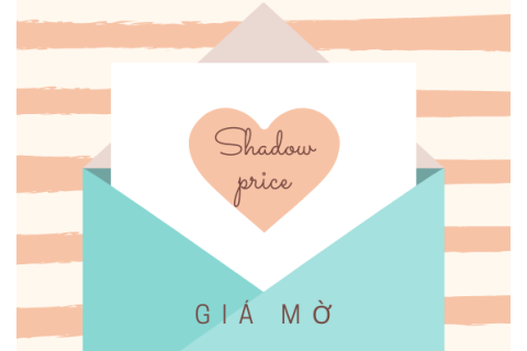 Giá mờ (Shadow price) trong kinh tế học là gì?