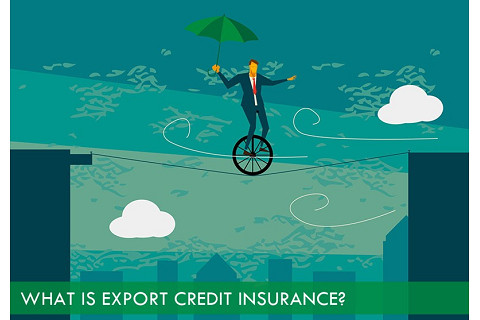 Bảo hiểm tín dụng xuất khẩu (Export Credit Insurance) là gì?