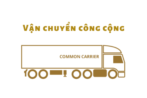 Vận chuyển công cộng (Common carrier) là gì? Đặc trưng và liên hệ