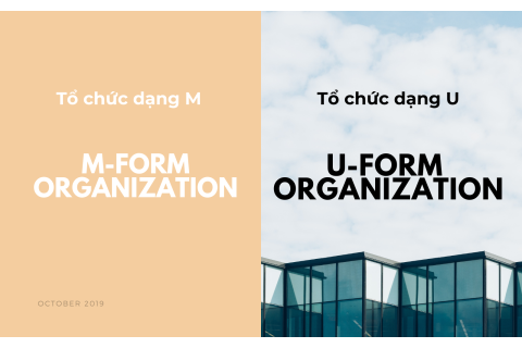 Tổ chức dạng U (U-form organization) và tổ chức dạng M (M-form organization) là gì?