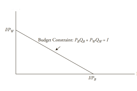 Sự ràng buộc ngân sách (Budget Constraint) trong lí thuyết hành vi người tiêu dùng là gì?