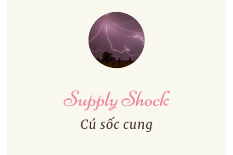 Cú sốc cung (Supply Shock) là gì? Đặc trưng và ví dụ