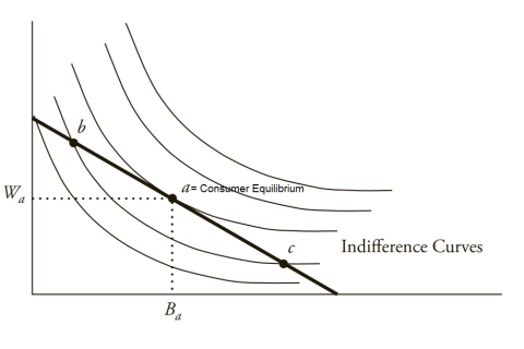 Cân bằng tiêu dùng (Consumer Equilibrium) là gì?