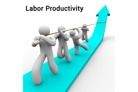 Năng suất lao động (Labor Productivity) là gì? Tầm quan trọng của đo lường năng suất lao động