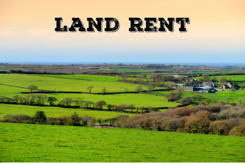 Tô (Land rent) là gì? Ví dụ minh họa và biểu diễn tô dưới dạng giá trị