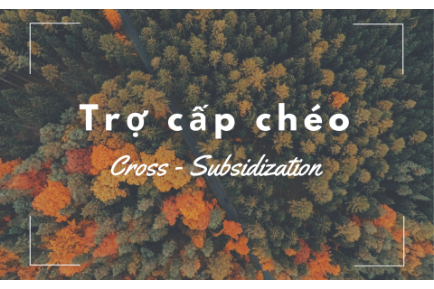 Trợ cấp chéo (Cross - Subsidization) là gì? Ưu điểm và hạn chế