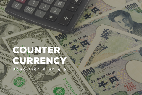 Đồng tiền định giá (Counter Currency) là gì? Cách thức hoạt động của đồng tiền định giá