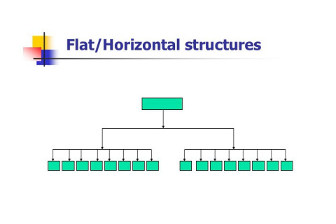 Cơ cấu tổ chức nằm ngang (Horizontal organizational structure) là gì? Ưu điểm