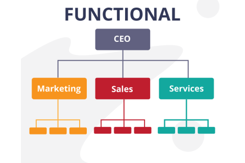 Mô hình tổ chức theo chức năng (Functional organizational structure) là gì? Ưu và nhược điểm