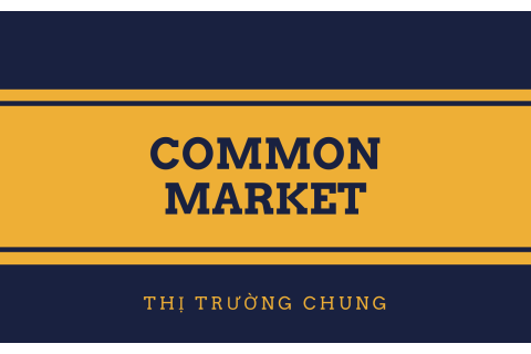 Thị trường chung (Common Market) là gì? Ưu điểm và hạn chế