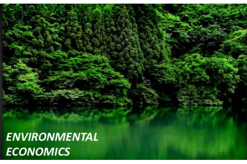 Kinh tế môi trường (Environmental Economics) là gì? Các chiến lược kinh tế môi trường