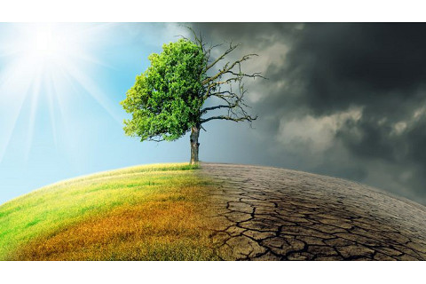 Biến đổi khí hậu (Climate Change) là gì? Ảnh hưởng từ giao thông đô thị