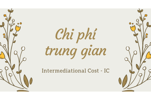 Chi phí trung gian (Intermediational Cost - IC) là gì?