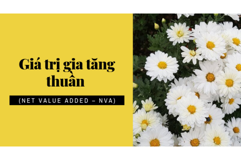 Giá trị gia tăng thuần (Net Value Added – NVA) trong thống kê là gì?