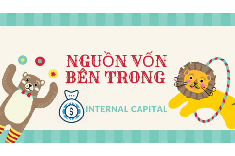 Nguồn vốn bên trong (Internal Capital) là gì? Ưu điểm và hạn chế của nguồn vốn bên trong