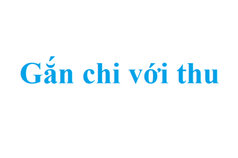 Gắn chi với thu (Earmarking) là gì? Những tác động của gắn chi với thu