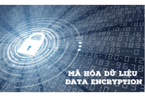 Mã hóa dữ liệu (Data encryption) là gì? Ý nghĩa trong thương mại điện tử