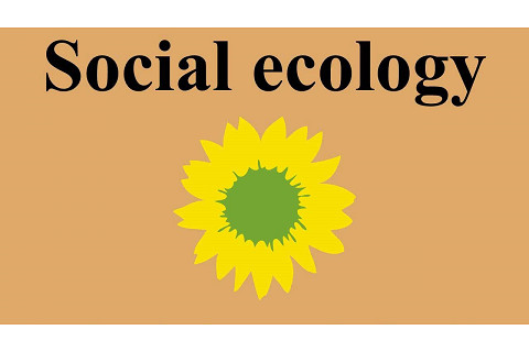 Sinh thái xã hội (Social Ecology) là gì?