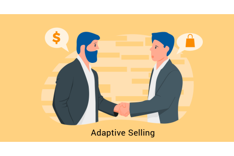 Chiến lược bán hàng thích nghi (Adaptive Selling) là gì? Ví dụ về bán hàng thích nghi